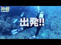 真栄田岬 体験ダイビング1本★ダイブ・サプライ・スモールフィッシュ【沖楽】