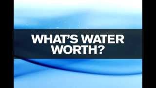 Water's Worth It PSA