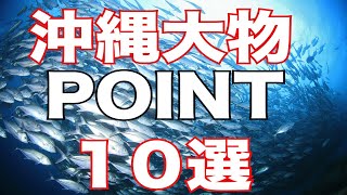 【沖縄大物POINT１０選】熱烈先生のダイビング講座　第135講