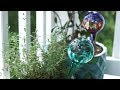 Watering globes for outdoor & house plants – Do they work? How to use them