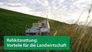 Rehkitzrettung: Die Vorteile für die Landwirtschaft