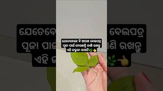 ନିହାତି ଜରୁରୀ ଜାଣିବା କଥା 🌿👈//#jaishreeram #jaihanuman #jaishivshankar #motivation #ytshorts #yt