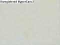 Dragon Ball Z Amv Die Mother Fucker Die
