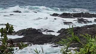 【2024年8月30日に撮影】【台風10号の影響】【自然音】雨上がりの午後の海　5