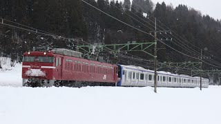 【配給輸送】EF81 140 + E235系1000番台J-42編成