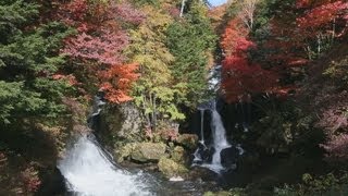 栃木県・奥日光で紅葉が見ごろに