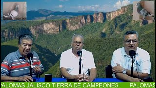 PALOMAS; JALISCO, TIERRA DE CAMPEONES. ENTREVISTA J. ARMANDO BARAJAS