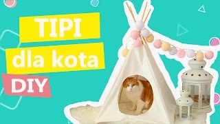 Tipi dla kota DIY, kanapkowe kotki, sprzątanie sierści | Twoje DIY #5