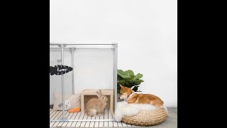 Clearly Loved Pets Modern Pet Enclosures | Feature Presentation