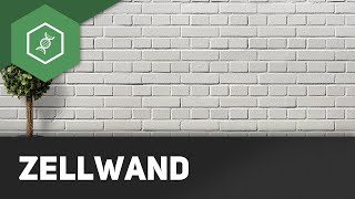 Zellwand