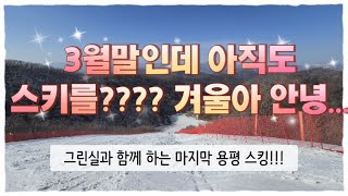 3월 말인데 아직도 스키를???? 겨울아 안녕....