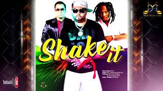 Robin J, Anil Bheem & Tendaji - Shake It ( Official Audio ) 2k19 Soca