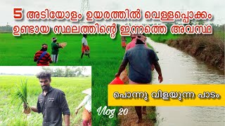 5 അടി പൊക്കത്തിൽ വെള്ളപ്പൊക്കം ഉണ്ടായ സ്ഥലം | kerala floods |Vlog 20