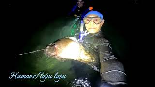 Abu Dhabi Spearfishing EP#022 Huge grouper catch in Abu Dhabi water #hamour #seabream #redsnapper