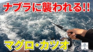 【船釣り】マグロ・カツオキャスティングに行ったら巨大ナブラに襲われた！銚子沖でのマグロ・カツオの釣り方解説もしています【プレジャーボートYFR27】