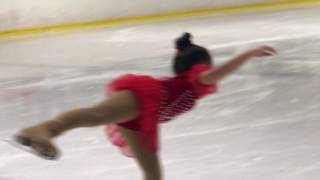 2017 Basic  free skate with the ice 1