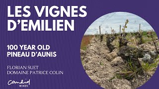 Les Vignes d'Emilien; 100 Year Od Pineau d'Aunis