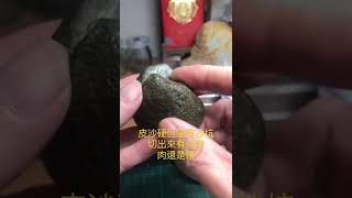 賭石實戰6一莫西沙小原石，肉還是太粗，你認為？