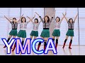 YMCA Line Dance |Oldpopsong |올드팝송 |초급라인댄스