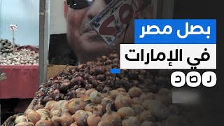 كيف يباع البصل المصري في الإمارات بأرخص من سعره في مصر؟