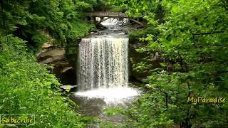 Relaxing Piano Music with Nature Sounds, Waterfall Sounds, Birds Sounds