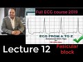 ECG from A to Z 012,Alaa nasr,2019