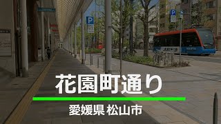 愛媛県 松山市【花園町通り】Street