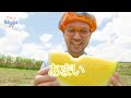 のうじょうに行こう！自然とふれあおう！🐄🌾 ブリッピ 日本語 幼児向け教育動画 blippi