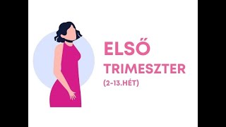 Terhességem: Első trimeszter (storytime)