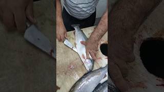 How to Clean Trout - Quick \u0026 Professional