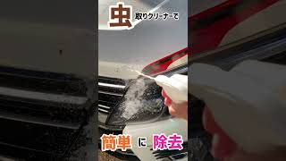 [AUTOGLYM]バンパーに付いた虫や鳥のフンを簡単に綺麗にする方法！#shorts