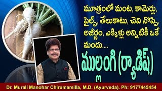 ర్యాడిష్ (ముల్లంగి) తో మూత్రంలో మంట, కామెర్లు, పైల్స్, తేలుకాటు, చెవి నొప్పి, అజీర్ణం అన్నీ మాయం.