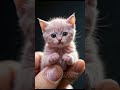 Meet the Mini Marvels of the Animal World #cat #kitten #cute #funny #cutecat #catlover #animals