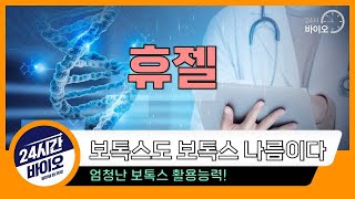 휴젤 - 보톡스도 보톡스 나름