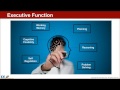 executive function the missing link to student achievement