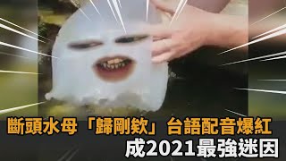 俄國斷頭水母台語神配音！一句「歸剛欸」瞬爆紅　網笑：2021最強迷因－民視新聞