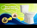 DIY|| How to Remove a Rusted Toilet Bolt