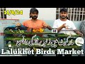 Lalukhet Sunday Birds Market 11 August 2024 latest update|Lalukhet Birds Market 2024|Zunair Birds