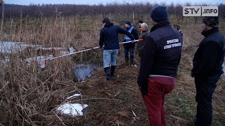 Śnięte ryby w stawie w Zdanowie. Wędkarze przypuszczają, że winna jest miejscowa przetwórnia