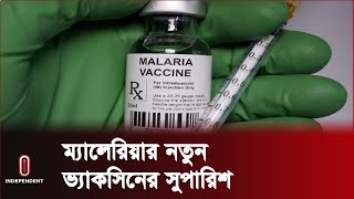 ম্যালেরিয়ার নতুন ভ্যাকসিন নিয়ে কী বলছে বিশ্ব স্বাস্থ্য সংস্থা? || Malaria | Vaccine | Independent TV