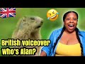American Reacts to Funny British Animal Voiceovers