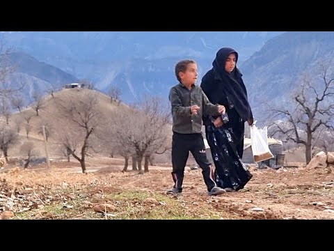 Nomadic Life Income From Oak And Youtube