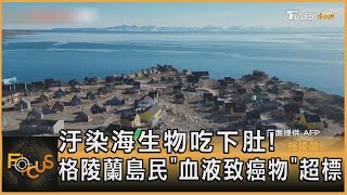 汙染海生物吃下肚! 格陵蘭島民「血液致癌物」超標｜方念華｜FOCUS全球新聞 20231005@TVBSNEWS01