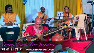 Chinna kannan Azhaikiran | LIVE Veena Instrumental cover