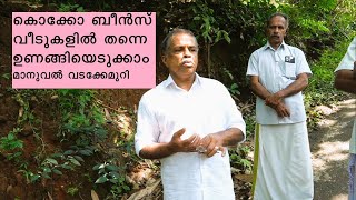 കൊക്കോ ബീൻസ് വീടുകളിൽ തന്നെ സംസ്കരിക്കാവുന്ന രീതി Cocoa Drying Manuel