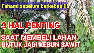 CARA MEMBELI LAHAN UNTUK DIJADIKAN KEBUN SAWIT