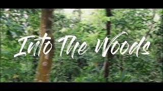 Into The Woods (Cinematic Video) /// Mohtashim Shikder