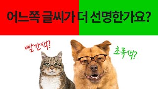 내가 노안일까? 10초 만에 결과 확인! 40대부터 주의해야 할 노안과 노인성 안질환 (백내장, 녹내장, 황반변성)