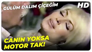 Gülüm Dalım Çiçeğim - Çek Ulan Elini Ne Zaman Samimi Olduk | Türkan Şoray Fikret Hakan Türk Filmi