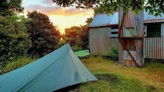 Solo Overnight Tramp to a Forgotten Hut - Puketutu Hut, Kaimai Ranges